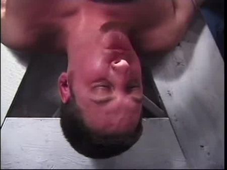 negros motel pau duro provocar