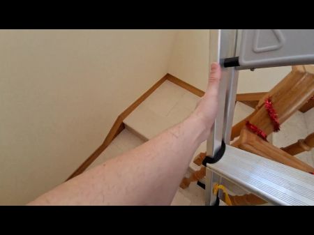 bears_feet