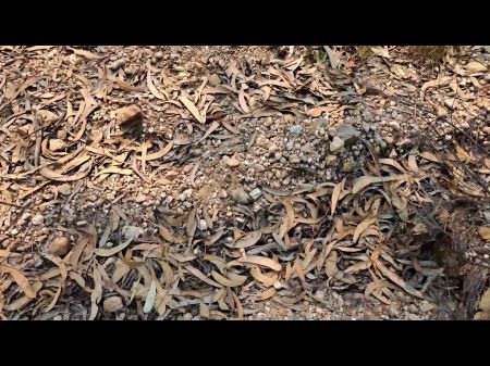 corno filma esposa amadora trepando